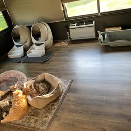 The new litter box from Pett Supplies Plus for Marmaduke - the big red tabby. He doesn't like the litter robots The new litter box from Pett Supplies Plus for Marmaduke - the big red tabby. He doesn't like the litter robots