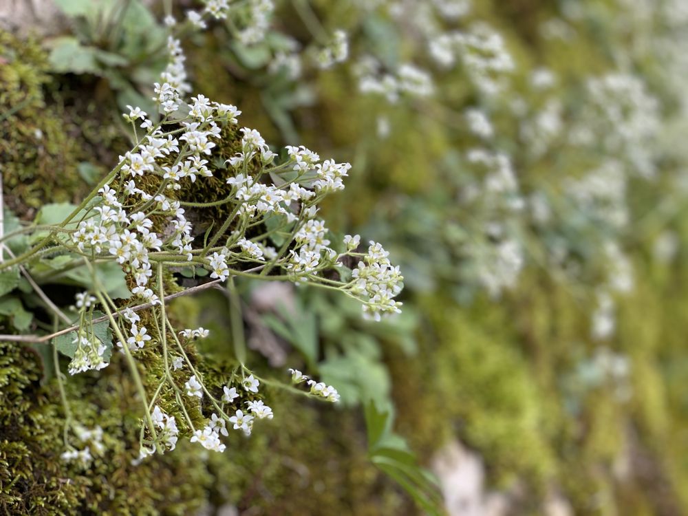 Social spots from Asbury Trails