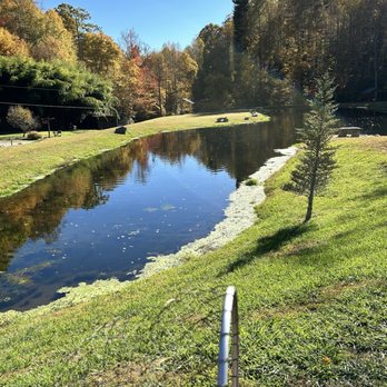 Cooper Creek Trout Farm - Lakes Near Me - Bryson City, North Carolina