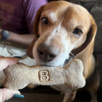 SC Bakery - Banner loving his bone - Desserts Near Me - Aurora, Colorado