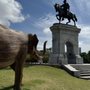 Photo of Sam Houston Monument