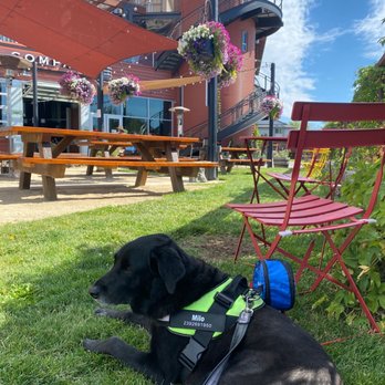 Worthy Brewing - Dog friendly very picturesque awesome - Breweries Near Me - Bend, Oregon Worthy Brewing - Dog friendly very picturesque awesome - Breweries Near Me - Bend, Oregon