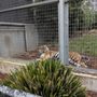 Ballarat Wildlife & Reptile Park