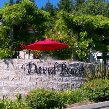 David Bruce Winery - Wineries Near Me - Los Gatos, California