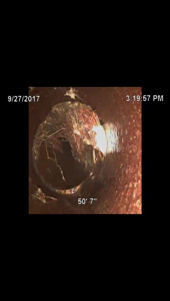 Slide of Rooter Town