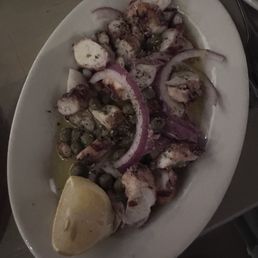 Octopus
