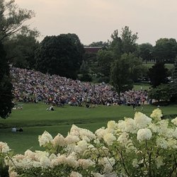 Memorial Park - Crowd from afar.