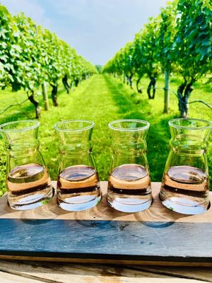 Wölffer Estate Vineyard by null