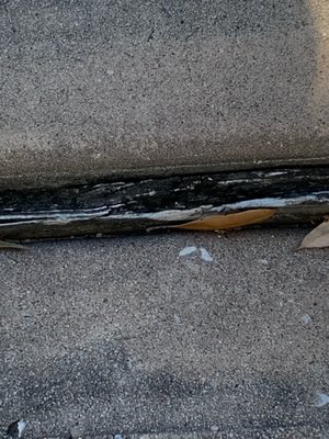 Lennar Houston Division Office