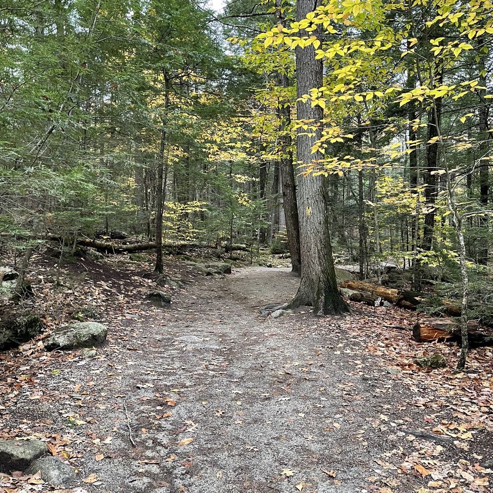 Diana's Baths - Lakes Near Me - North Conway, New Hampshire