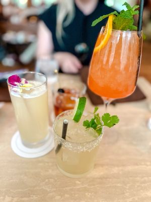 Citrus Club by null