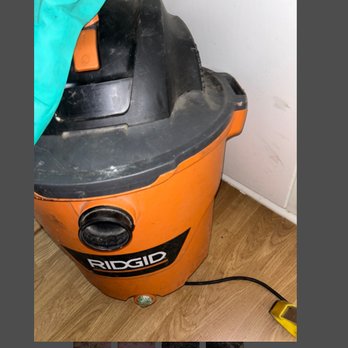 Left Coast Pest Solutions - The shop vac Victor Ibarra-Sandoval used to removed dry rodent feces from infested attic insulation. Un sanitary or sanitary? - Pest Control Near Me Left Coast Pest Solutions - The shop vac Victor Ibarra-Sandoval used to removed dry rodent feces from infested attic insulation. Un sanitary or sanitary? - Pest Control Near Me