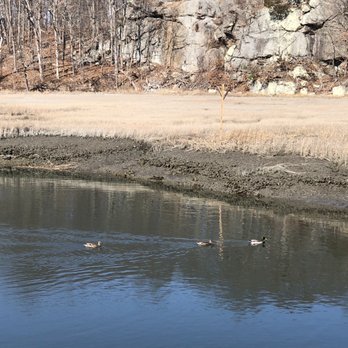 Branford Trolley Trail - Ducks - Hiking Near Me - Branford, Connecticut