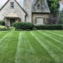 Allan Bellezza Contracting