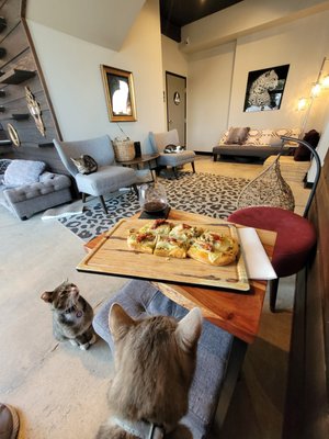Whiskers & Wine Cat Cafe by null
