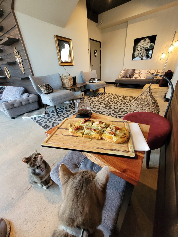 WHISKERS & WINE BAR 107 Photos & 45 Reviews 2856 Adams Ave, San