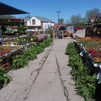 Rural King - Outdoor plants, flowers & vegetables! - Home & Garden Near Me - Elyria, Ohio