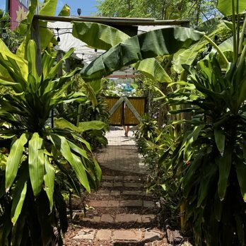 Irie Island Eats - Coffee & Tea Near Me - Marathon, Florida