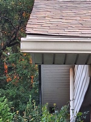 Storm Pros Roofing and Construction Logo