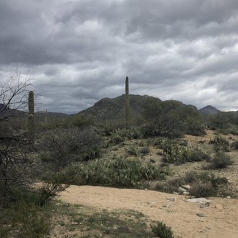 Sabino Canyon - Parks Near Me - Tucson, Arizona