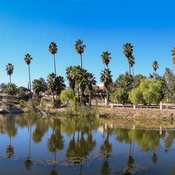 Rancho Tecate - Nuestro hermoso lago natural en Rancho Tecate