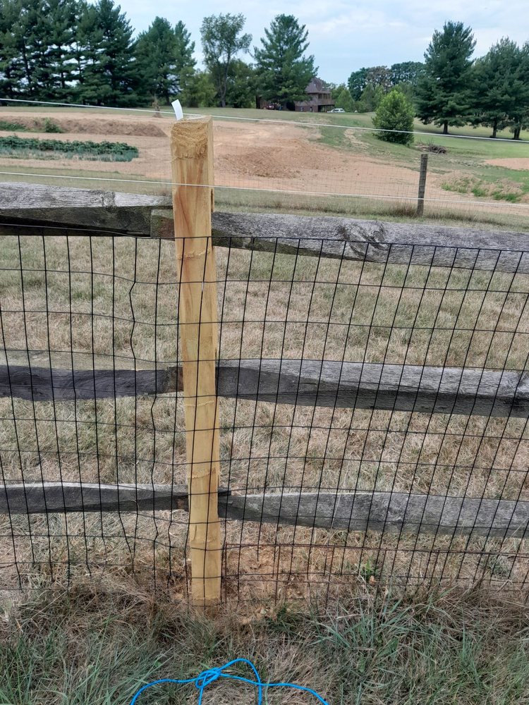 Slide of Albert Handyman Repair Service