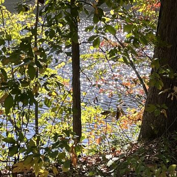 Raccoon Creek State Park - Parks Near Me - Hookstown, Pennsylvania Raccoon Creek State Park - Parks Near Me - Hookstown, Pennsylvania
