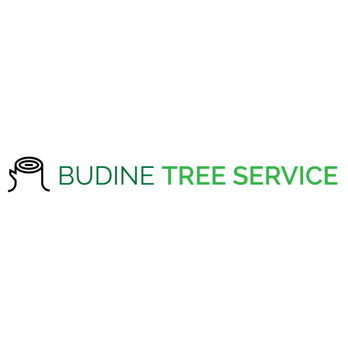 Budine Tree Service - Tree Services Near Me Budine Tree Service - Tree Services Near Me
