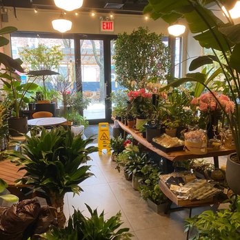 Kunst Coffee Haus - Coffee & Tea Near Me - Bayside, New York Kunst Coffee Haus - Coffee & Tea Near Me - Bayside, New York