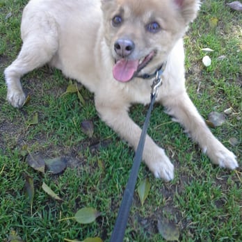 Serenity Pet Spaw - Chance! - Pet Groomers Near Me - San Diego, California