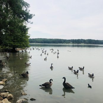 Craighead Forest Park - Parks Near Me - Jonesboro, Arkansas
