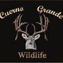 Photo of Cuerno Grande Wildlife