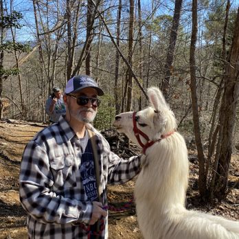 Smoky Mountain Llama Treks - Hiking Near Me - Cosby, Tennessee