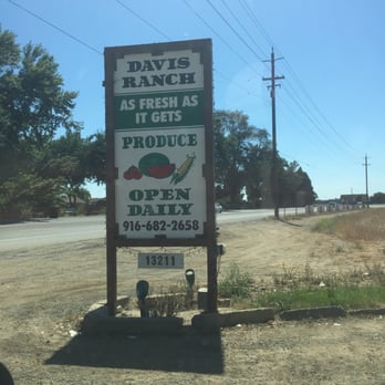 Davis Ranch, LLC - Fruits & Veggies Near Me - Sloughhouse, California Davis Ranch, LLC - Fruits & Veggies Near Me - Sloughhouse, California