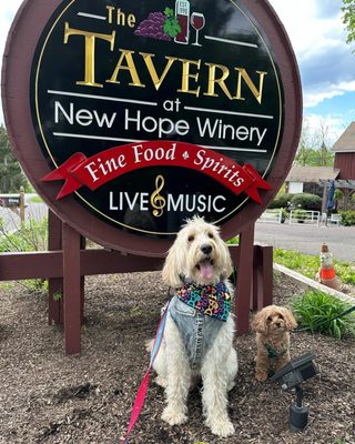 The Tavern at New Hope Winery by null