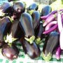 Downtown Pittsfield Farmers Market