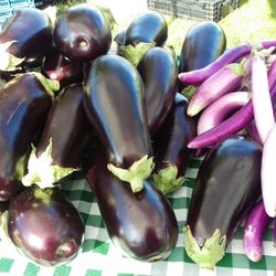 Downtown Pittsfield Farmers Market