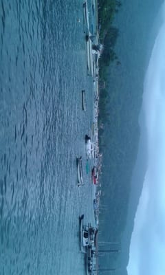 Che Lagarto Hostel Ilha Grande by null