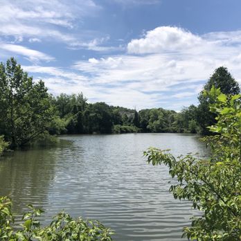 Demott Park - June 29, 2025. 93 degrees outside - Fishing Near Me Demott Park - June 29, 2025. 93 degrees outside - Fishing Near Me