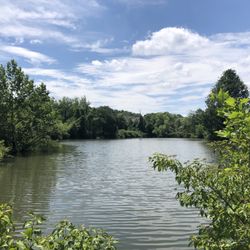 Demott Park - June 29, 2025. 93 degrees outside