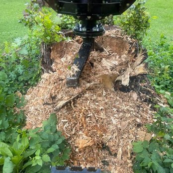 1 TEC Properties - a tree stump being removed - Tree Services Near Me - Osceola, Indiana