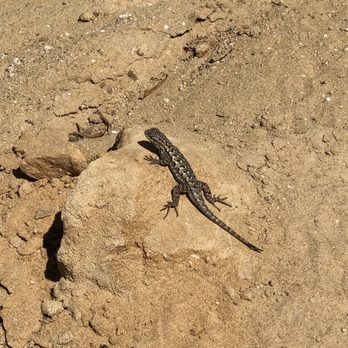 Fort Ord Public Lands - Hiking Near Me - Salinas, California Fort Ord Public Lands - Hiking Near Me - Salinas, California