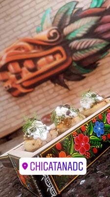 Chicatana by null