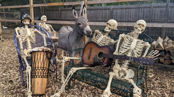 Bush Farmhouse by null