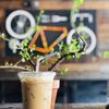 Second Best Coffee gift card