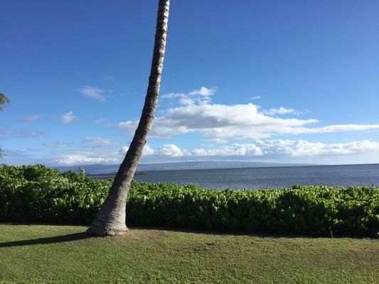 Moloka‘i Shores by null