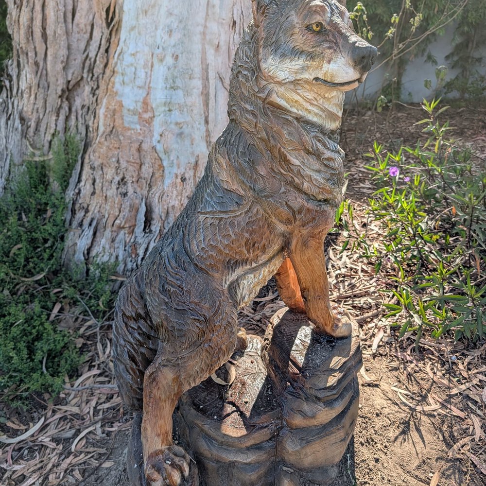 Bixby Knolls National Park - Wolf in the wild - Parks Near Me - Long Beach, California