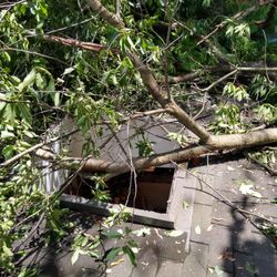 Public Adjuster Ben - Another successful job! homeowner had a tree fall, we got s/o to clean it up. and enough money from insurance for e/t!!