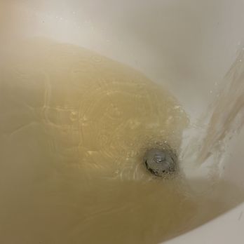 Grove at Wilcrest - Disgusting water at this place - Apartments Near Me - Houston, Texas