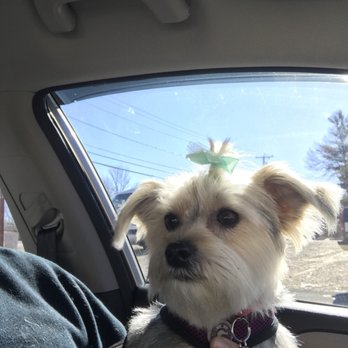 Dog House Plus - Pet Groomers Near Me - Coventry, Rhode Island
